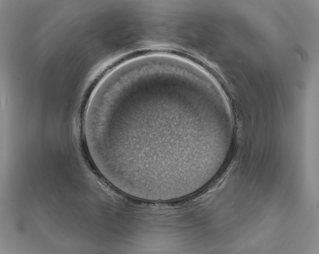 X0000110861319200907301344