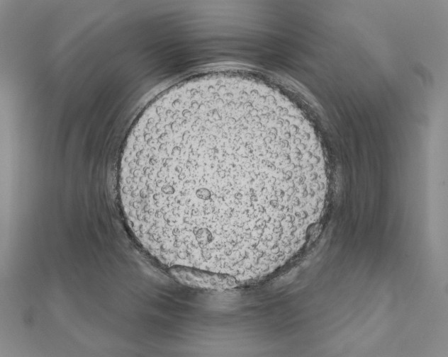 X0000110861321200907301344