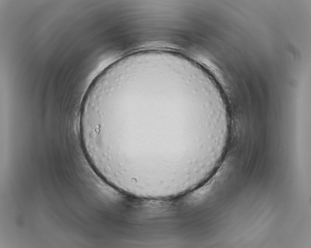 X0000110861322200907301344