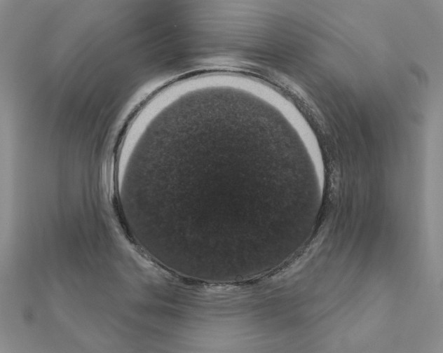 X0000110861323200907301344