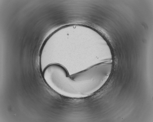 X0000110861324200907301344