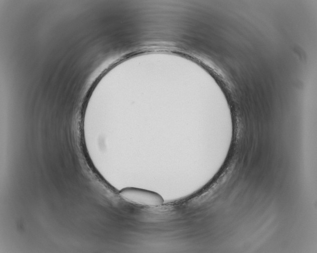 X0000110861325200907301344