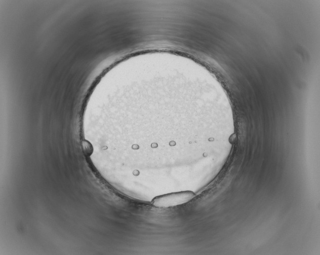 X0000110861326200907301344