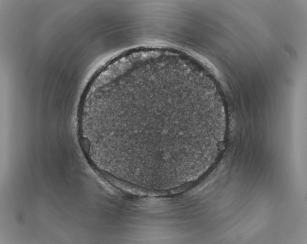 X0000110861327200907301344