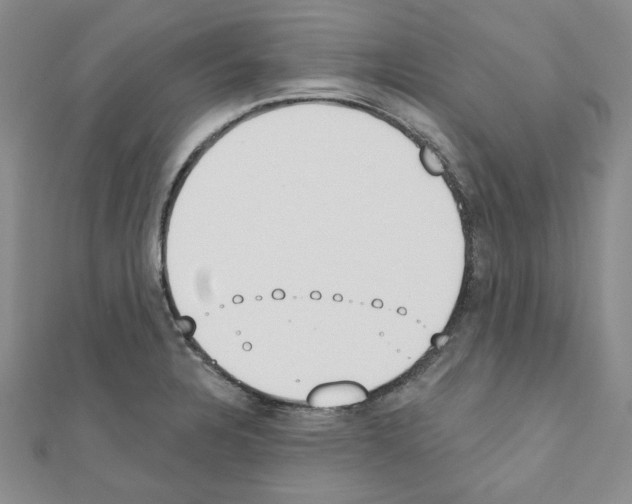 X0000110861328200907301344