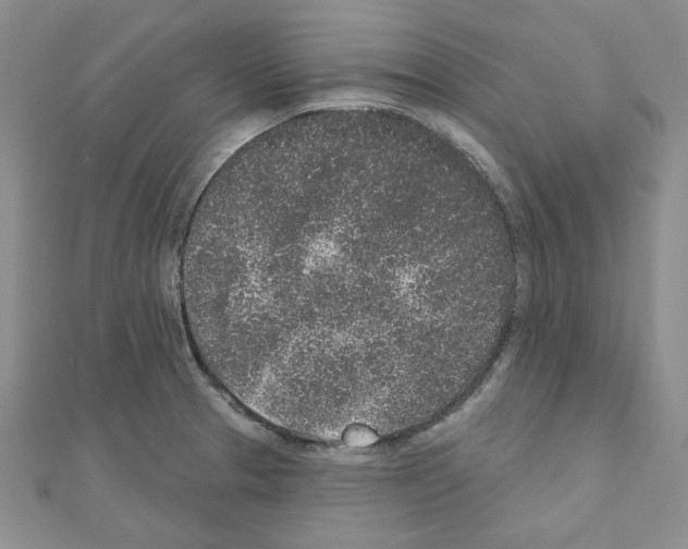 X0000110861329200907301344