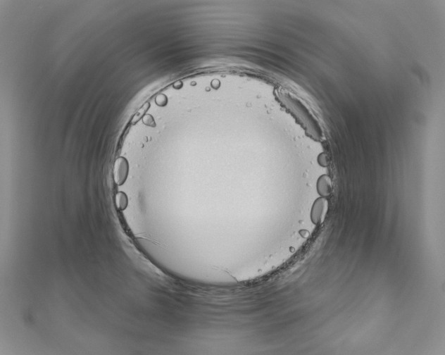 X0000110861330200907301344