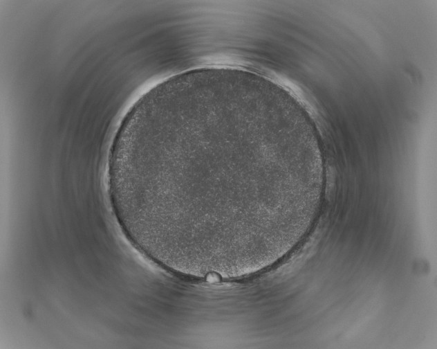 X0000110861331200907301344