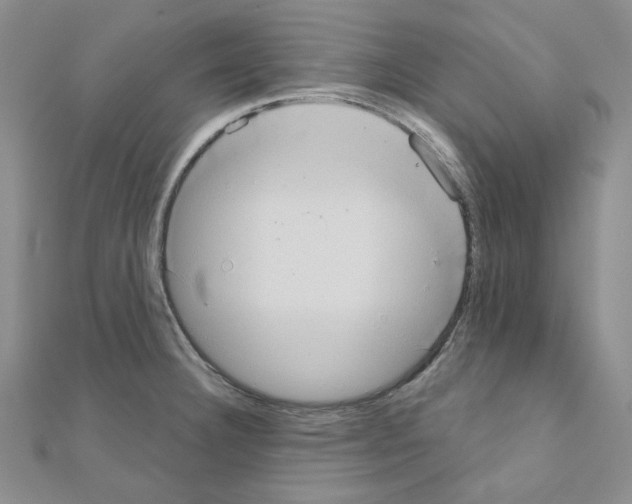 X0000110861332200907301344
