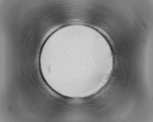 X0000110861333200907301344