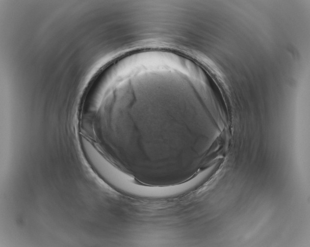 X0000110861334200907301344