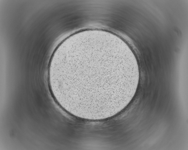 X0000110861335200907301344