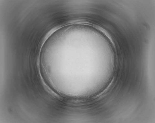 X0000110861338200907301344