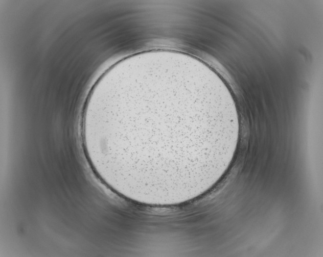 X0000110861339200907301344