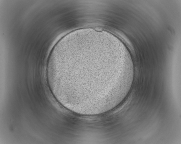 X0000110861340200907301344