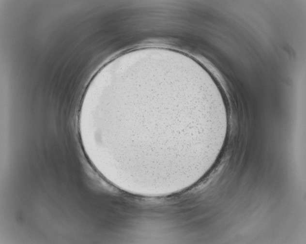 X0000110861341200907301344
