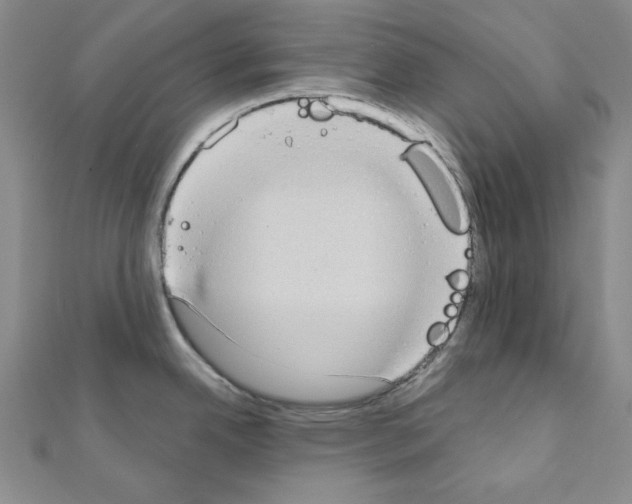 X0000110861342200907301344