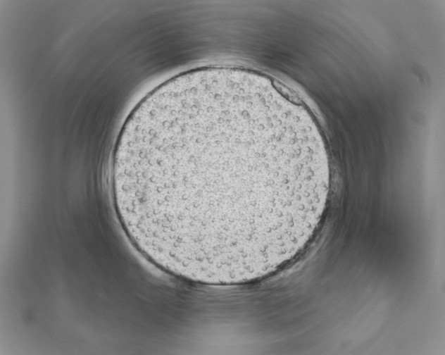 X0000110861343200907301344