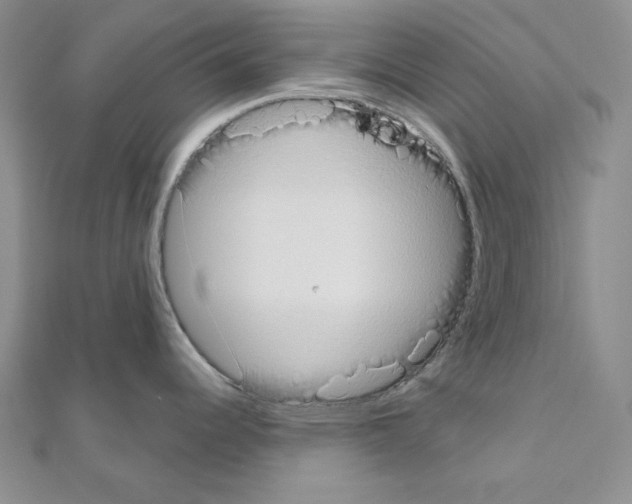 X0000110861344200907301344