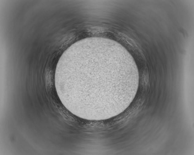 X0000110861346200907301343