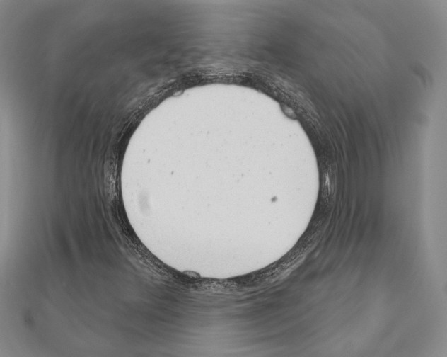 X0000110861348200907301343