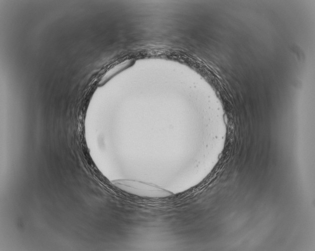 X0000110861349200907301343