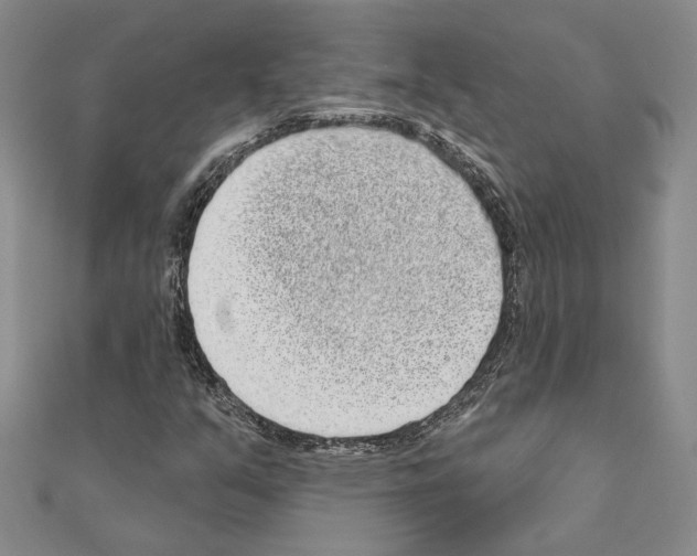 X0000110861351200907301343