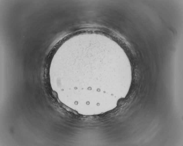X0000110861352200907301343
