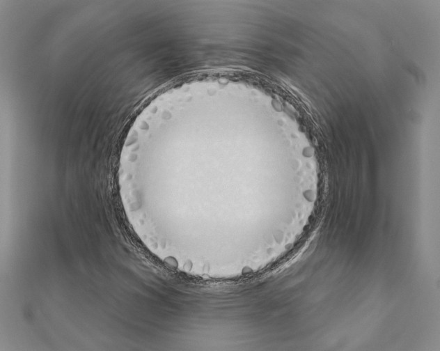 X0000110861353200907301343