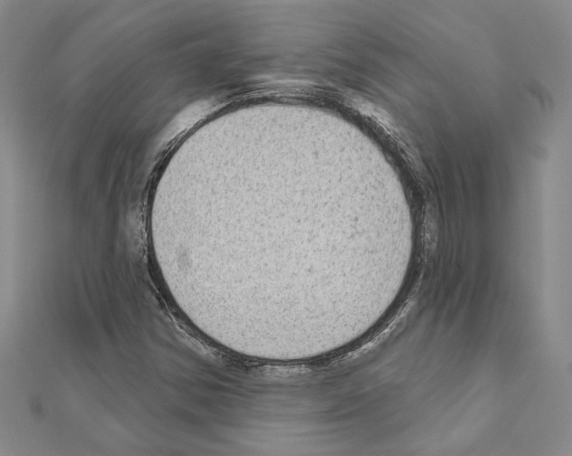 X0000110861354200907301343