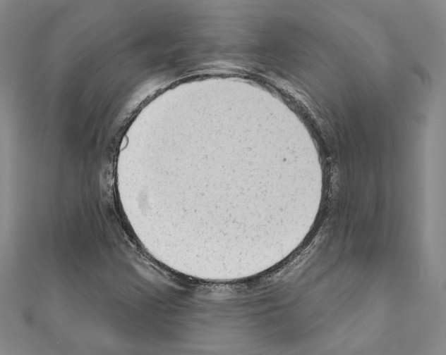 X0000110861355200907301343
