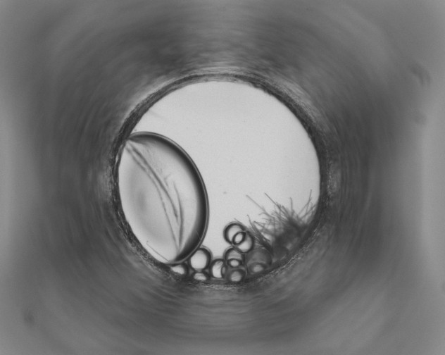 X0000110861356200907301343