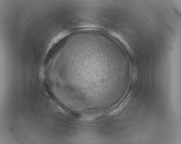 X0000110861357200907301343
