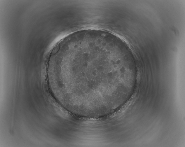 X0000110861359200907301343
