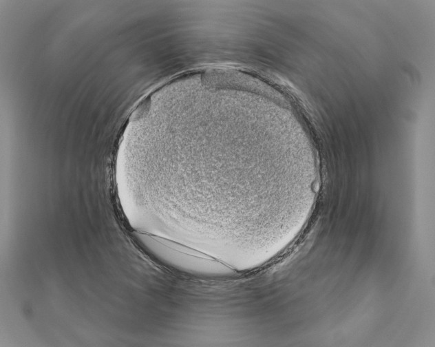 X0000110861361200907301343