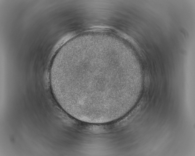 X0000110861362200907301343