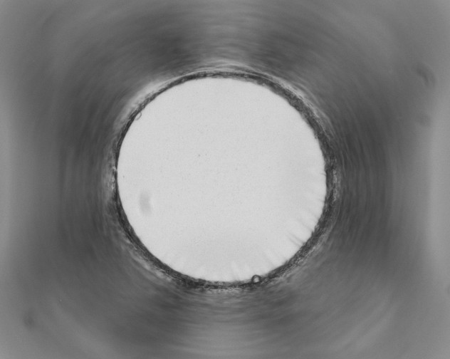 X0000110861363200907301343