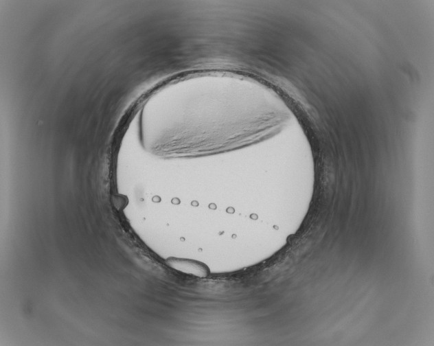 X0000110861364200907301343