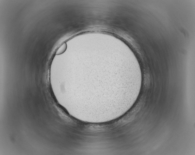 X0000110861366200907301343