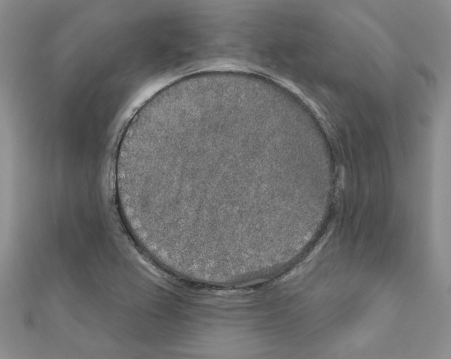 X0000110861367200907301343