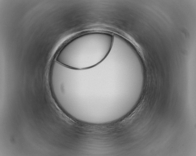 X0000110861368200907301343