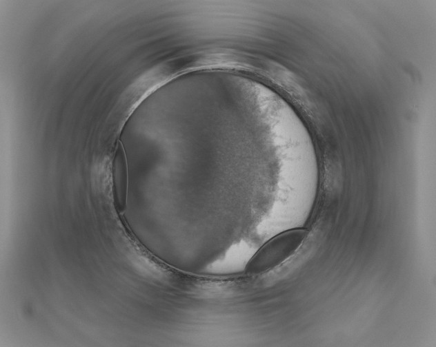 X0000110861369200907301343