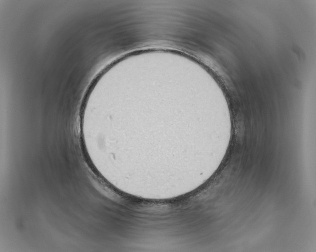 X0000110861372200907301343