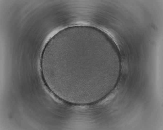X0000110861373200907301343