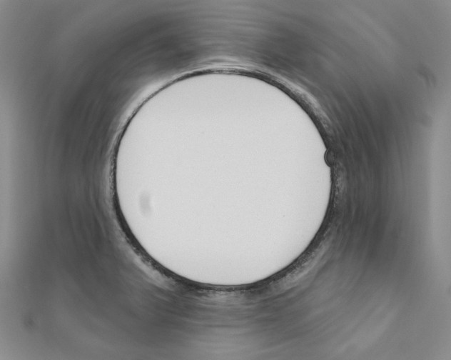 X0000110861375200907301343