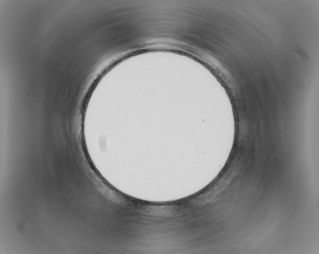 X0000110861376200907301343