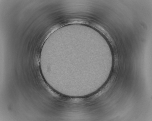 X0000110861377200907301343