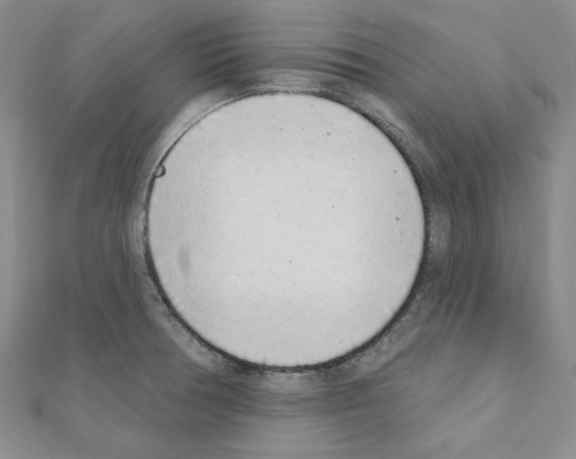 X0000110861378200907301343