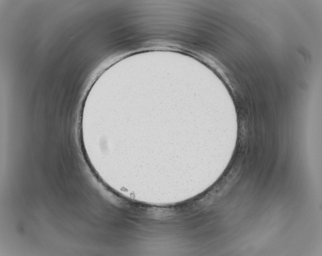 X0000110861379200907301343