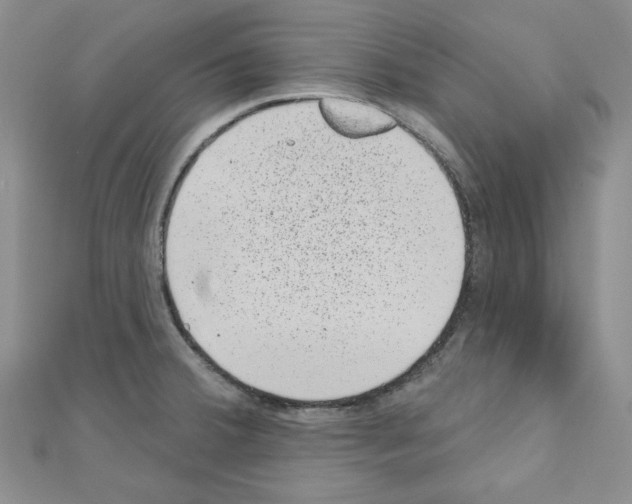 X0000110861380200907301343